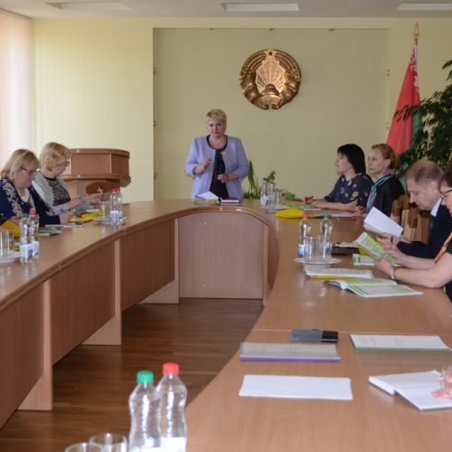 Заседание методического объединения главных бухгалтеров учреждений среднего специального образования Витебской области