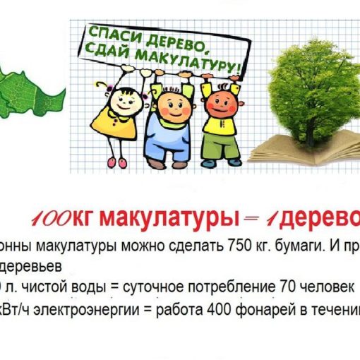 Итоги конкурса «Сдай макулатуру – спаси дерево!»