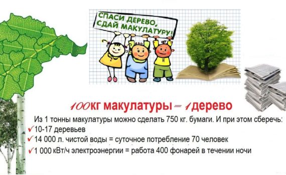 Итоги конкурса «Сдай макулатуру – спаси дерево!»