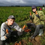 Работа в сельскохозяйственных отрядах в ПК «Ольговское»