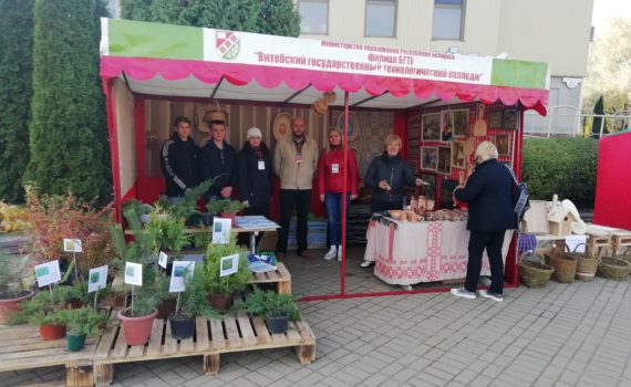 В Витебске прошла выставка-ярмарка учреждений образования области «Восенскi карагод»