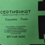Участие в студенческой олимпиаде в сфере информационных технологий  «BIT Cup 2021»
