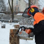 Подвели итоги конкурса профессионального мастерства по квалификации "Вальщик леса" 🪚🌲.